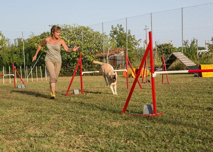 River Campingplads 3*